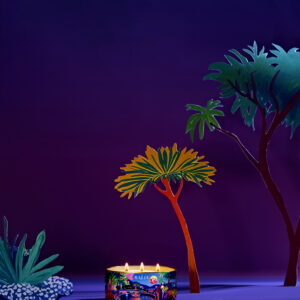 BOUGIE XL MINUIT CHERI 300GR