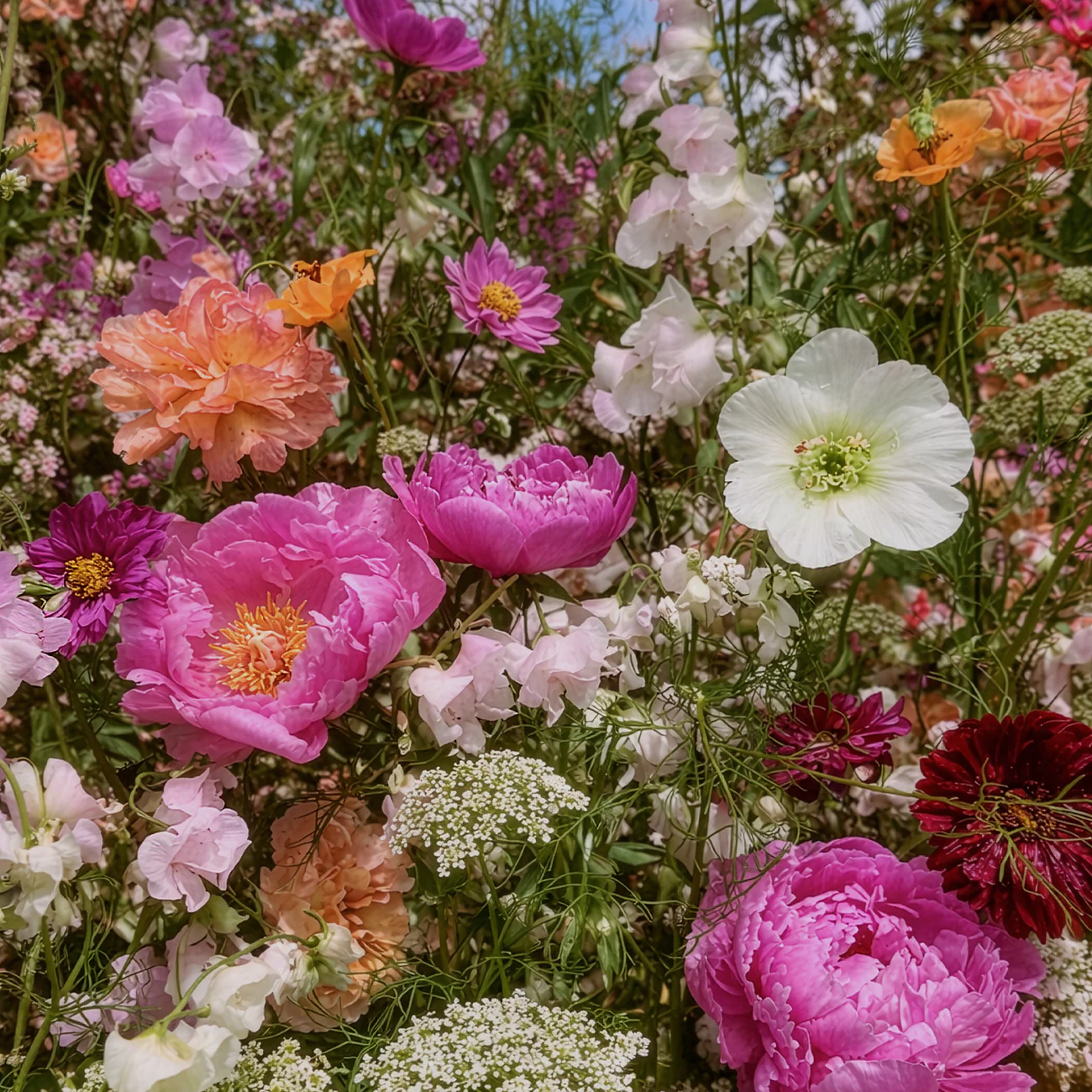 HAIR AND BODY MIST ALLEGRIA MIA 120ML – Image 5